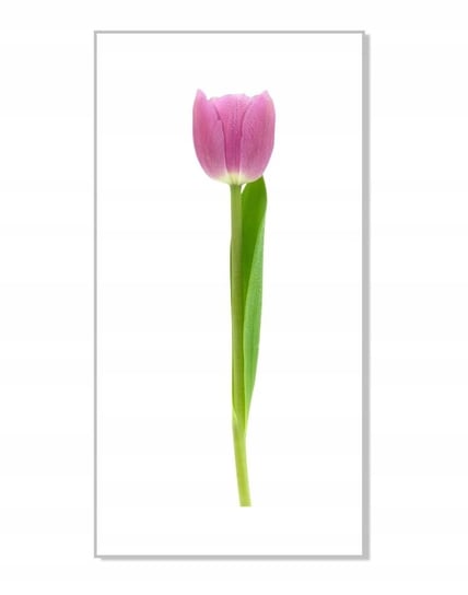 Naklejka ścienna kwiaty kwiatki 30cm Tulipan 13, 30x6 cm Naklejkolandia