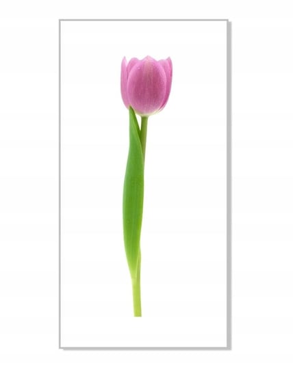 Naklejka ścienna kwiaty kwiatki 30cm Tulipan 14, 30x6 cm Naklejkolandia