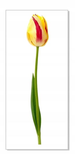 Naklejka ścienna kwiaty kwiatki 30cm Tulipan 16, 30x5 cm Naklejkolandia