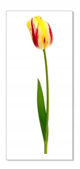 Naklejka ścienna kwiaty kwiatki 30cm Tulipan 18, 30x6 cm Naklejkolandia