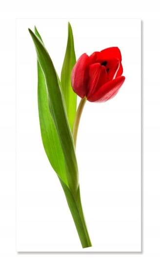 Naklejka ścienna kwiaty kwiatki 30cm Tulipan 2, 30x13 cm Naklejkolandia