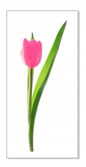 Naklejka ścienna kwiaty kwiatki 30cm Tulipan 7, 30x11 cm Naklejkolandia