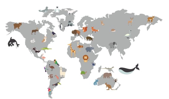 Naklejka ścienna mapa świata kolorowe zwierzęta dekochmurka