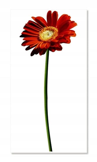 Naklejka z kwiatami kwiatki 50cm Gerber 3 czerwony, 50x20 cm Naklejkolandia