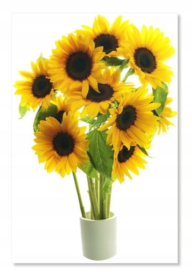 Naklejka z kwiatami kwiatki 50cm - Słonecznik 2, 50x33 cm Naklejkolandia