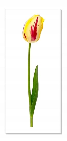 Naklejka z kwiatami kwiatki 50cm - Tulipan 19, 50x10 cm Naklejkolandia