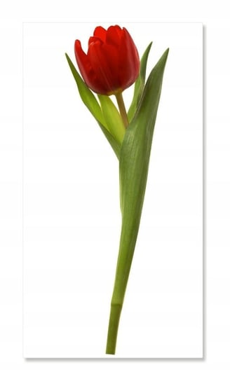 Naklejka z kwiatami kwiatki 50cm - Tulipan 5, 50x16 cm Naklejkolandia