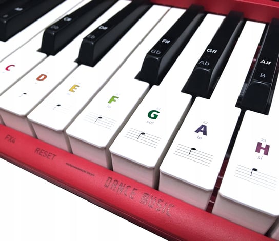 Naklejki na keyboard na klawisze NKHKL kolorowe/AKORD Akord