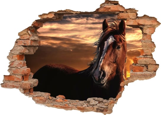 Naklejki Na Ścianę Konie Zwierzęta 3D 100X70Cm NaklejkiOzdobne