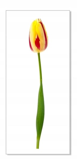 Naklejki na ścianę meble lustro 70cm Tulipan 15, 70x11 cm Naklejkolandia
