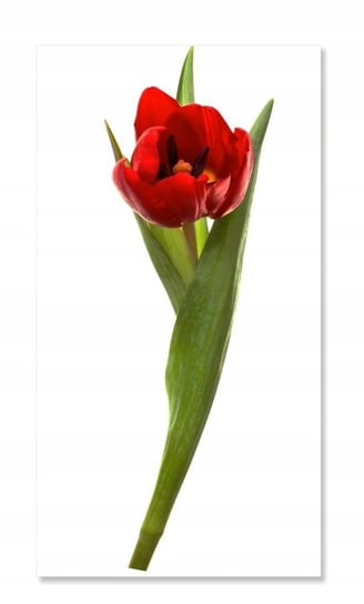 Naklejki na ścianę meble lustro 70cm Tulipan 4, 70x22 cm Naklejkolandia