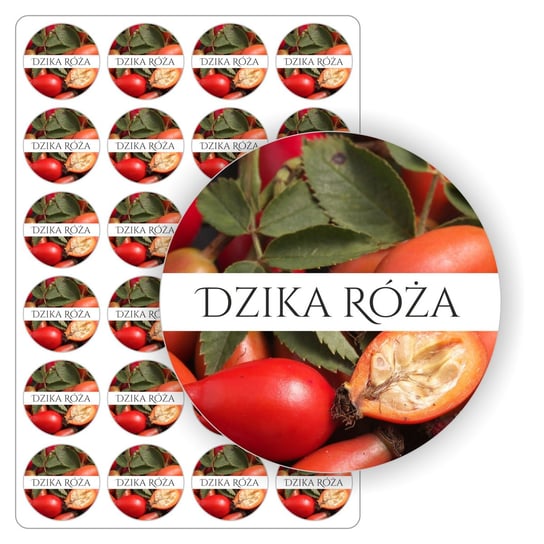 Naklejki, nalepki, etykiety etykietki samoprzylepne, arkusz naklejek etykiet, wodoodporne na słoiki, bulelki, buteleczki, przetwory, weki, owoce, dżem, sok, kompot DZIKA RÓŻA drukant