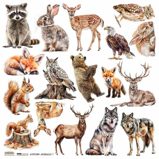 Naklejki papierowe 24x24 ScrapLove - Autumn Animals 1 leśne zwierzęta scraplove.pl