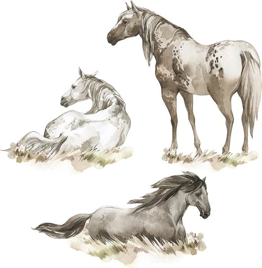 Naklejki ścienne - trzy dzikie konie MagicalRoom
