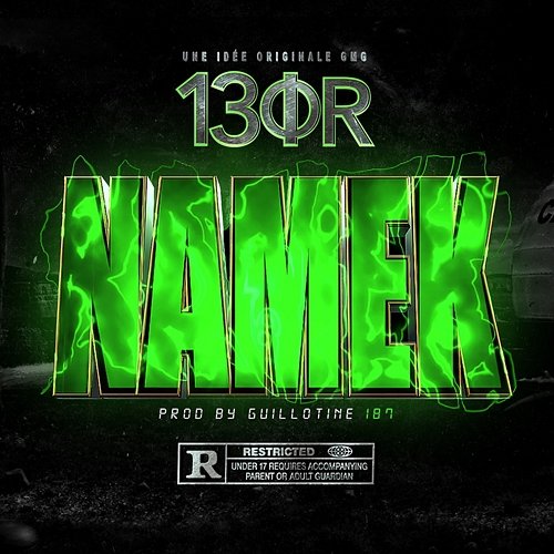 Namek 13OR