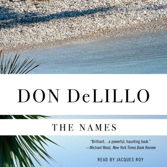 Names - audiobook Delillo Don