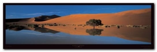 Namib Desert plakat obraz 95x33cm Wizard+Genius