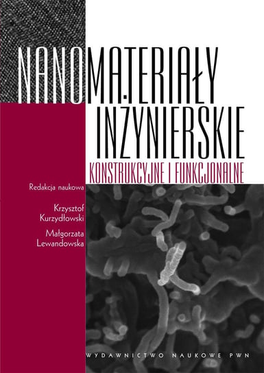 Nanomateriały inżynierskie konstrukcyjne i funkcjonalne Lewandowska Małgorzata, Kurzydłowski Krzysztof