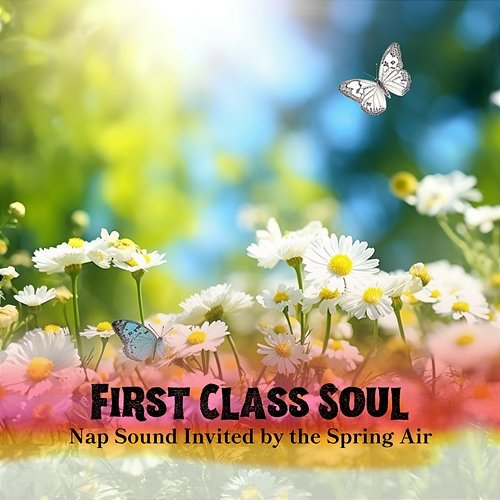Nap Sound Invited by the Spring Air First Class Soul