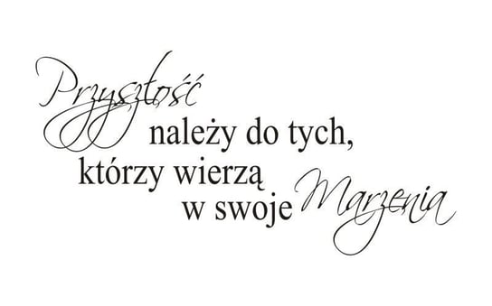 Napis na ścianę naklejka 120x60cm wybór koloru - Przyszłość należy do tych... 4 Naklejkolandia