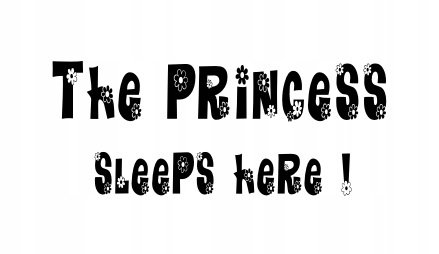 Napis na ścianę naklejka 75x38cm wybór koloru - The Princess Sleeps Here - 17 Naklejkolandia