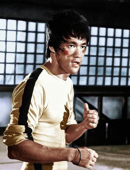 Naprasowanka Bruce Lee fight sztuki walki 3 Zebra