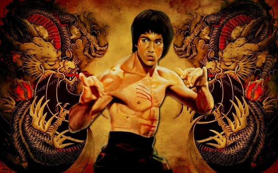 Naprasowanka Bruce Lee fight sztuki walki 6 Zebra