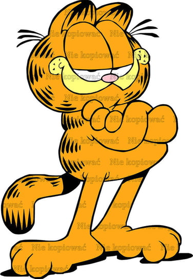 Naprasowanka Garfield Nermal kot kotek 1 Zebra