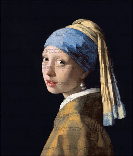 Naprasowanka Jan Vermeer malarstwo sztuka 3 Zebra