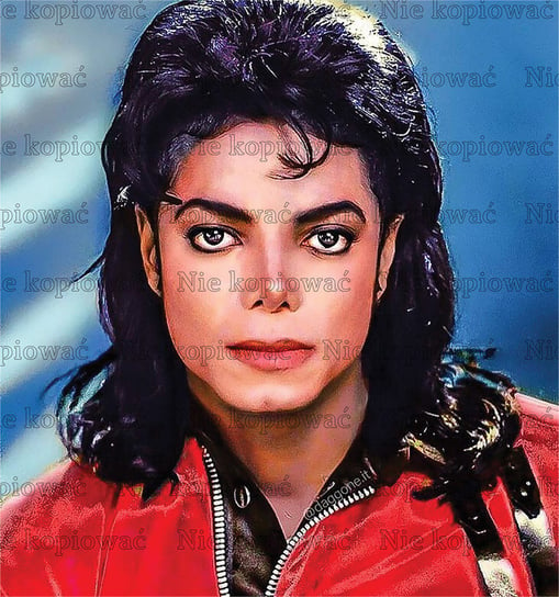 Naprasowanka Michael Jackson muzyka pop rock 5 Zebra