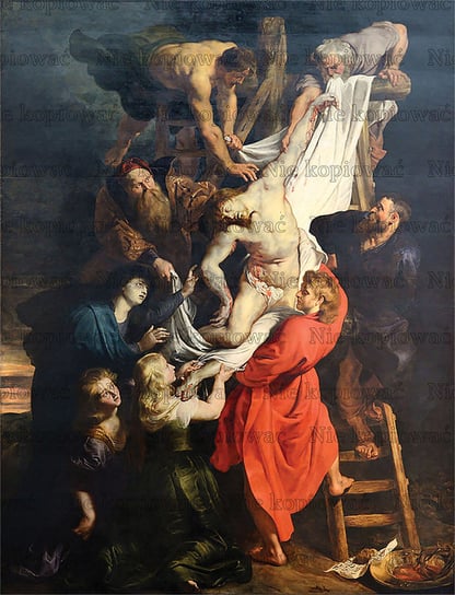 Naprasowanka Peter Paul Rubens malarstwo 3 Zebra