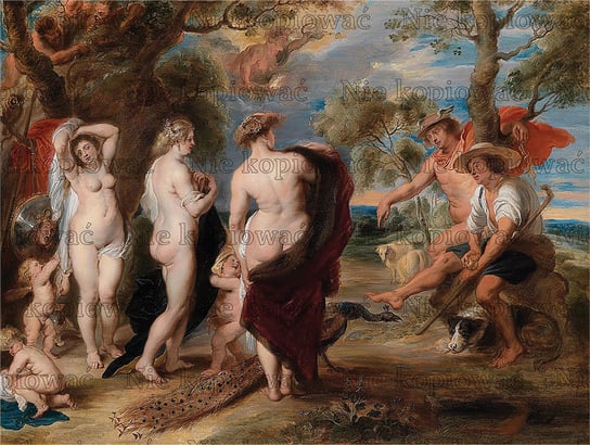 Naprasowanka Peter Paul Rubens malarstwo 5 Zebra