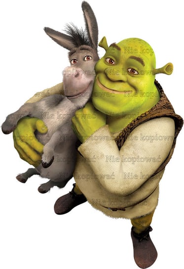 Naprasowanka Shrek bajka animacja 5 Zebra