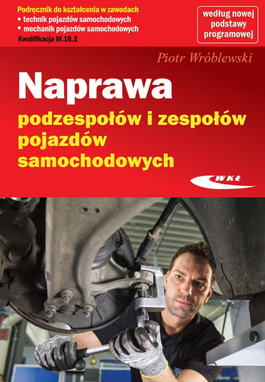 Naprawa podzespołów i zespołów pojazdów samochodowych Wróblewski Piotr