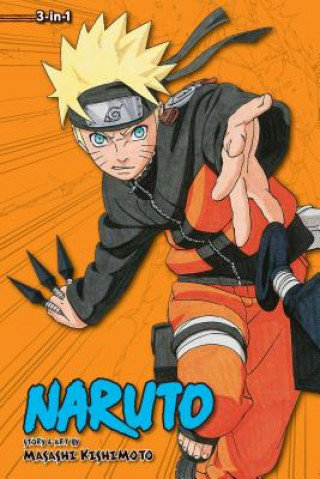 Naruto (3-in-1 Edition), Vol. 10 Masashi Kishimoto