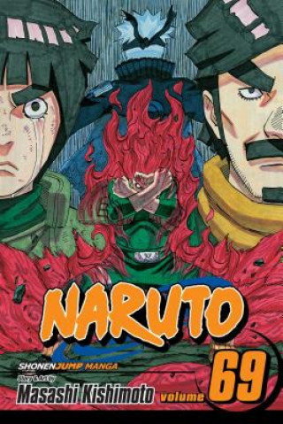 Naruto, Vol. 69 Masashi Kishimoto