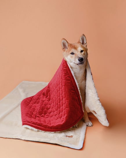 Narzuta  dwustronna Red - M - 120x100 Just For Pets