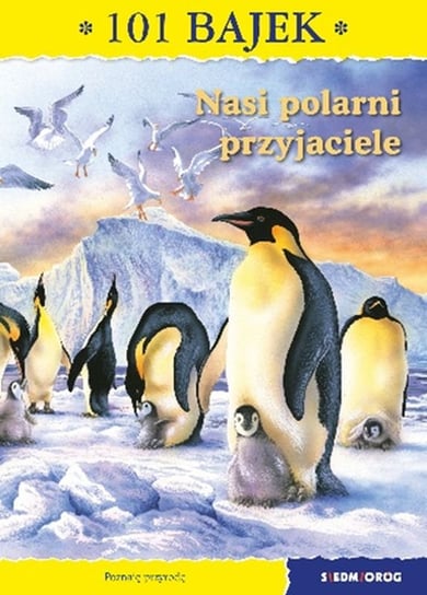 Nasi polarni przyjaciele Mirkowska Ewa