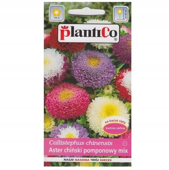 Nasiona Aster Ch. Pomponowy Mieszanka 1 Gram Plantico PlantiCo