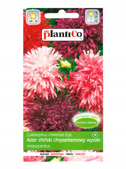 Nasiona Aster Chiński Chryzantemowy Mieszanka 1 Gram Plantico PlantiCo