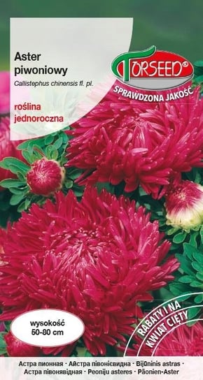 Nasiona Aster wysoki piwoniowy purpurowowiśniowy - Torseed Torseed
