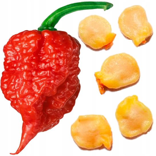 Nasiona Carolina Reaper HP22B Red PAPRYKA CHILI - NAJOSTRZEJSZA NA ŚWIECIE Inna marka