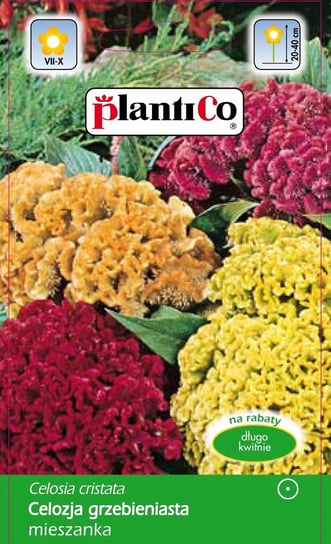 Nasiona Celozja Grzebieniasta Mix 0,3 Gram Plantico PlantiCo