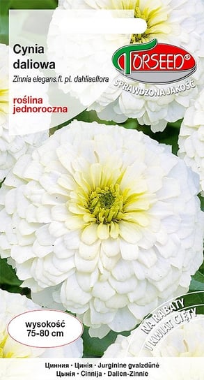 Nasiona Cynia daliowa biała 1g - Torseed Torseed