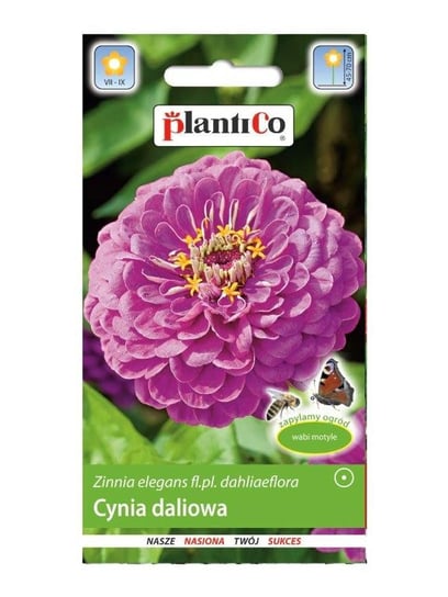 Nasiona Cynia Daliowa Lawendowa 1g PlantiCo PlantiCo