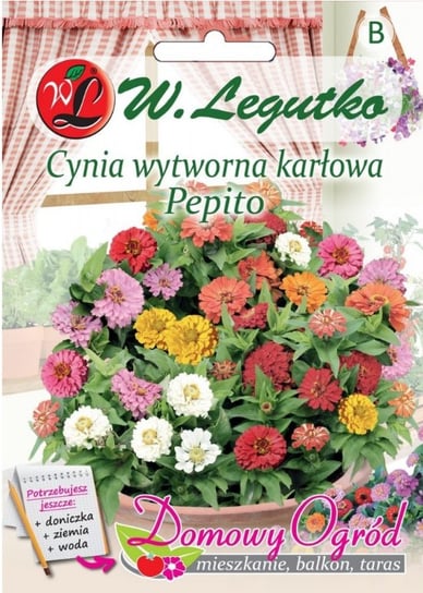 Nasiona Cynia Wytworna Karłowa Pepito Mieszanka W. Legutko