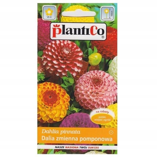 Nasiona Dalia Pomponowa Mix 1 Gram Plantico PlantiCo