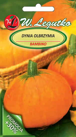 Nasiona Dynia Olbrzymia Bambino, Pomarańczowa, 4G LEGUTKO