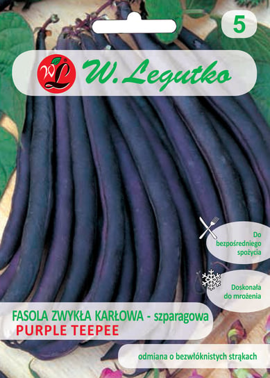 Nasiona Fasola Szparagowa Karłowa Purple Fioletowa LEGUTKO