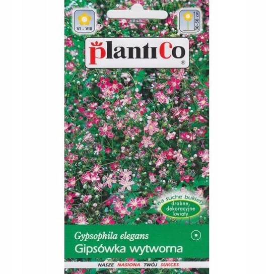 Nasiona Gipsówka Wytworna Karminowa 1 Gram Plantico PlantiCo